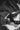 Ward Strootman
